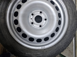 Nokian WR D4 205/55 R16 foto 6