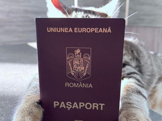 Bălți - Pașaport românesc în 3-5 zile!
