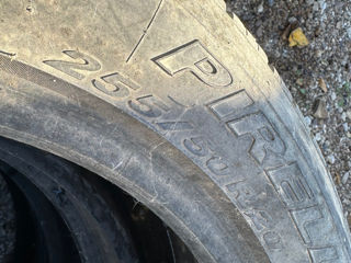 Pirelli 255 50 R20 foto 3