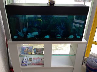Curatenie in akvarium !!! чистый аквариум !!! изготовление, ремонт !!! foto 5