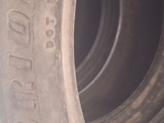 R19 255/50 Pirelli 1 Buc foto 3