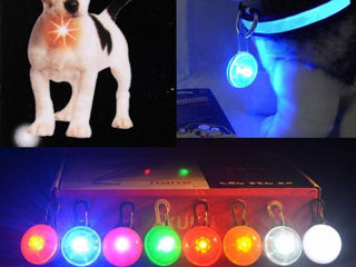 Светящийся кулон для собак и кошек.