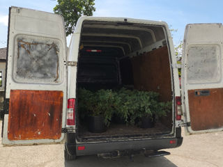 Servicii de transport preț pământesc  фото 1