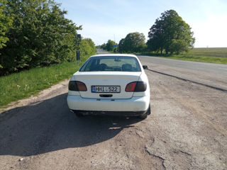 Nissan Primera foto 4