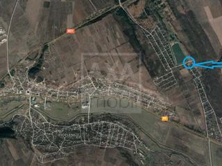Vânzare teren agricol cu suprafața de 12 ari, satul Boșcana, Criuleni foto 9