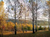 Продаётся участок, 5 соток, на берегу озера Данчень 5 км от Кишинева foto 5
