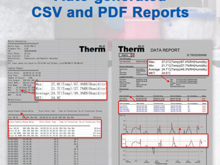 Регистратор температуры и влажности с автоматическими отчетами foto 6