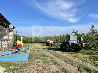 Livadă de vânzare în raionul Edineț - 14 ha foto 11