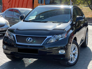 Lexus RX Series