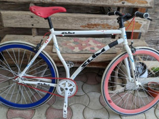 Single speed bike foto 1