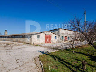Vânzare, depozit, 2300 mp, comuna Bălțata, Criuleni foto 17