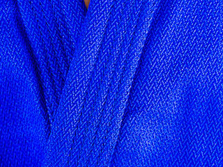 Самбовка Mizuno куртка+шорты(эластан) рост  180 cm foto 3