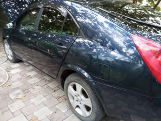 Nissan Primera foto 5