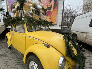 Volkswagen Beetle foto 6