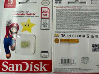 SanDisk 256gb