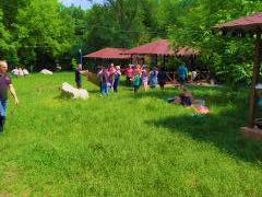 Odihna in sinul naturii!  La 4 km de la telecentru foto 6