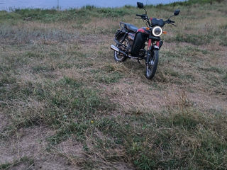 Viper Zs 125 foto 1