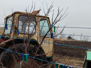 Mtz 80 DT 75 cu turbina foto 6