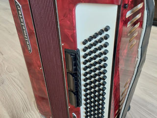 Acordeon stella foto 2