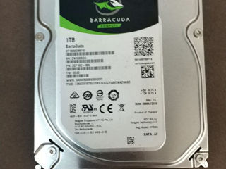 ssd m.2 500- gb 850 lei . hdd de la 300 la 1600 lei foto 4