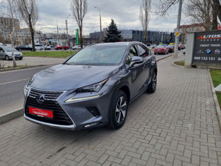 Lexus NX Series