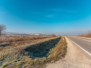 Se vinde terren agricol, Pănășești! foto 6