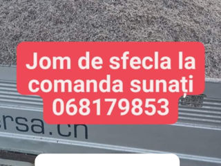 Jom de sfecla