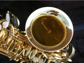 Saxofon Alto Trevor J.James & Co The Horn Revolution II foto 4