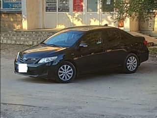 Toyota Corolla foto 10