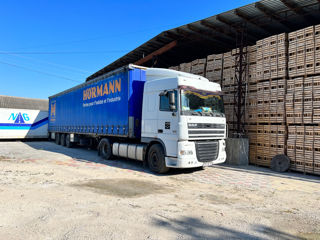 Daf XF 95.430 foto 2