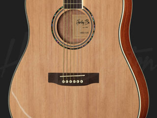 Fender, Aria.... guitars folck rock instrument..acoustic folk rok. Hi foto 5