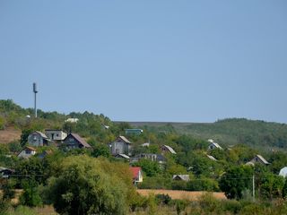 Sector linga padure,traseul Chisinau-Orhei foto 1