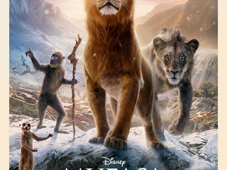Desene Animate, Filme si Seriale in limba Romana [livrare gratis] фото 2