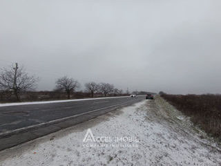 Teren agricol 30 ari! Traseul M5, Drăsliceni! foto 3