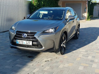 Lexus NX Series