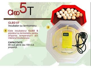 Incubator manual cu termometru 60 ouă găină Cleo 5T/Инкубатор/Garantie/Livrare Gratuita/ 700 lei foto 2