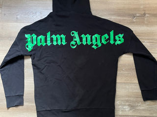 Palm angels