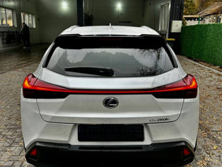 Lexus UX foto 6