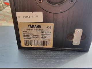 Yamaha boxe foto 3