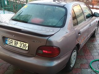 Hyundai Accent foto 5