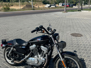 Harley - Davidson XL883 L foto 3