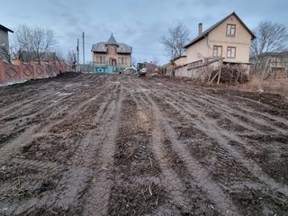 Defrisarea terenurilor,Evacuarea gunoiului / Curatarea terenurilor foto 7