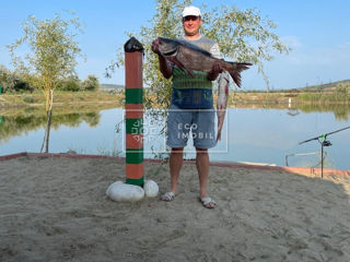 Vânzare, iaz, Strășeni, teren agricol foto 10