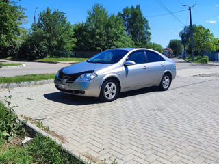 Nissan Primera foto 8