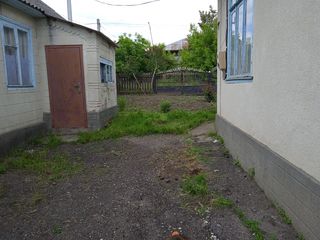Se vinde casa in satul Gribova r-l Drochia foto 1