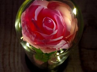 Роза в колбе  trandafir veșnic foto 4