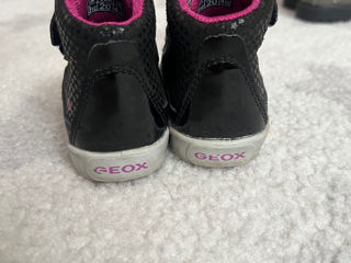 Geox 20 foto 5