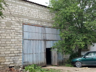 Construcţie agricolă, agroindustrială Suprafaţa foto 9