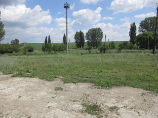 Территория бывшего зернотока. foto 5