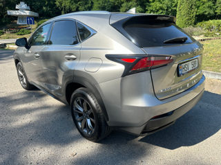 Lexus NX Series